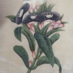 727 8646 SILK PAINTING